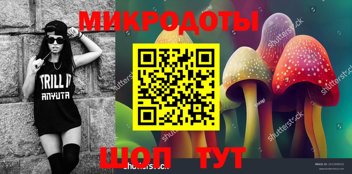 Павловский Посад  где купить наркотик  Вход с VPN  Псилоцибиновые грибы Psilocybe 