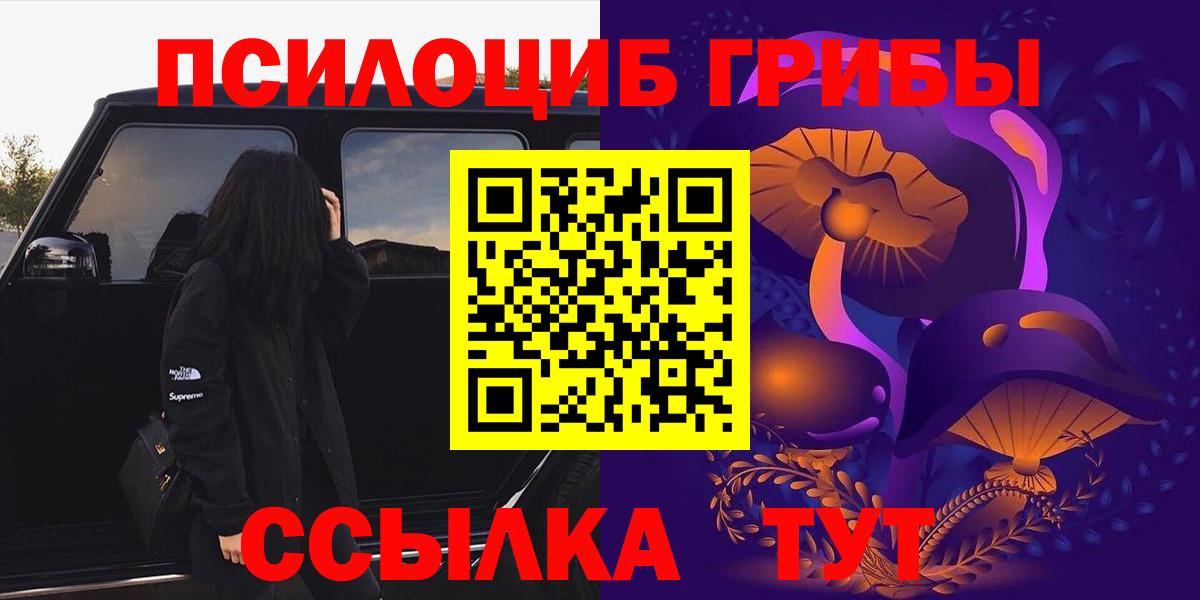 Галлюциногенные грибы Psilocybine cubensis  Павловский Посад  Галлюциногенные грибы мухоморы 