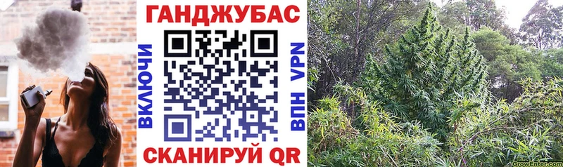 МАРИХУАНА семена  купить   Павловский Посад 
